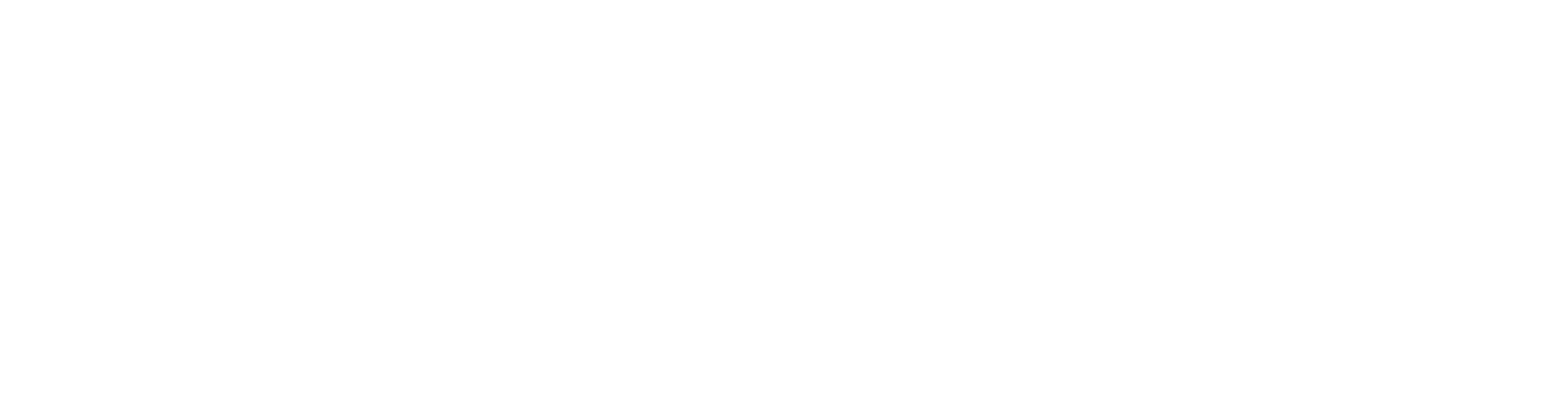 Lucid Illusions Logo